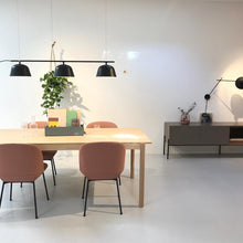Load image into Gallery viewer, MUUTO | Ambit Rail Pendant