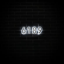 Ladda upp bild till gallerivisning, LUMO Lighting | Illuminated LED Address Number 5&quot; (Outdoor) - Silver/Brushed Aluminum
