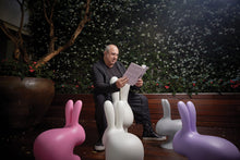 Ladda upp bild till gallerivisning, QEEBOO | Rabbit Chair (Small Size) - Indoor / Outdoor - (Multiple Colours Available)
